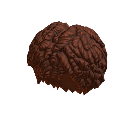 Free Roblox Curly Afro Red Hair